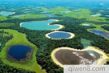 世界上面积最大的湿地 湿地总面积达24.2万平方千米