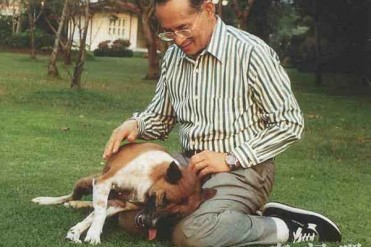 泰国男子发帖"讽刺"国王爱犬 面临37年监禁