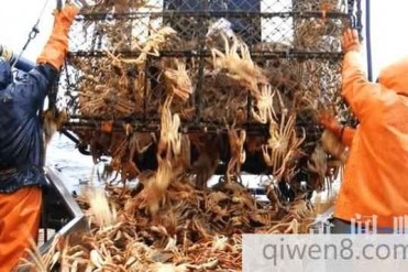 世界上十大危险职业 恐怖高薪以命相搏