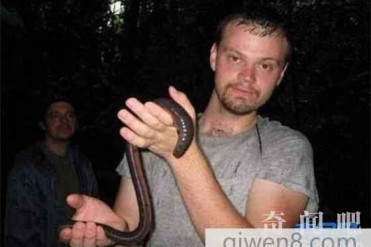 世界最长的蚯蚓是什么品种?蚯蚓对人类有什么好处吗?