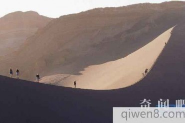 世界最干燥沙漠:阿塔卡马沙漠 一场大雨之后惊艳...