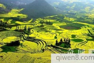 世界最大自然天成花园:云南省曲靖市罗平县