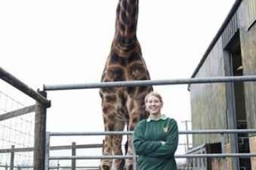 世界上最高的长颈鹿:18岁的它5.8米