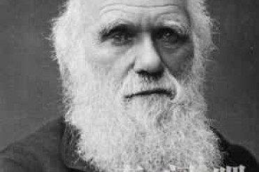 世界上最伟大的科学家排名,前五名难分高低