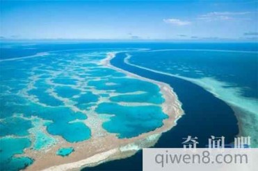 世界上最大的海是什么海?太平洋为什么不是最大的海?