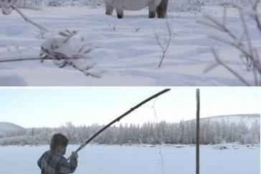 世界上最冷的可居地:奥伊米亚康 最低气温零下71...