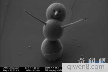 世界上最小的雪人 每个不足3微米高
