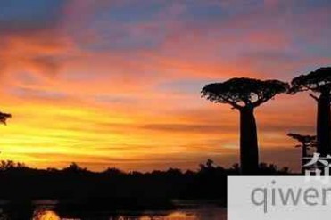 2019世界上最穷的国家排名 看看你知道几个