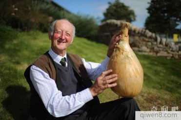 世界上最大的洋葱:重达8.2公斤