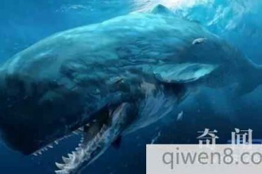 世界十大恐怖怪物排行榜 第一名鲨鱼在它嘴里属于...