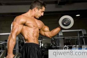 教你快速肱二头肌训练方法 世界上肱二头肌最大的...