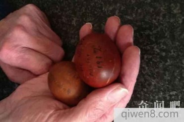 世界上最古老的茶叶蛋 保存完整存放103年