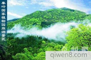 中国陕西的秦岭植物园是世界最大的植物园