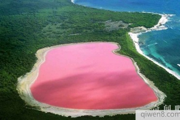 世界上最奇特的湖泊:澳大利亚西部粉色的希勒湖