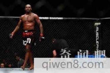 世界十大最强ufc格斗选手