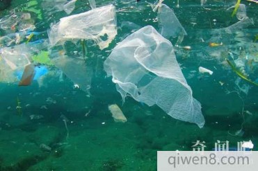 地球上最大的垃圾场:太平洋垃圾场