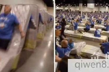 美企业"人肉床垫骨牌"赛破纪录 1200个14分钟全倒