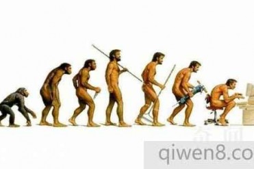 世界上十大高智商的动物:人最聪明
