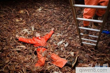 世界上最危险的工作 一年做5天就狂捞几十万 超赚...