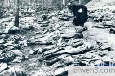 第二次世界大战中死亡人数最多的国家是哪个