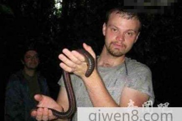 世界上最大最长的蚯蚓体长竟达1米