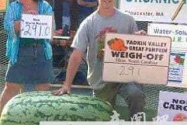 美国男子种出300斤世界最重的西瓜