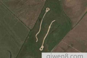 世界上最大的精子