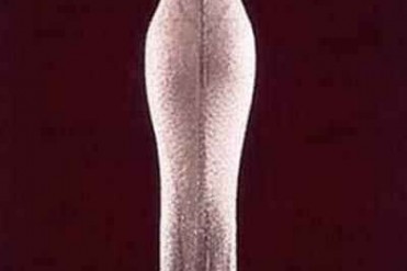 世界上最贵的衣服