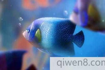 世界上最荒谬的十个法律