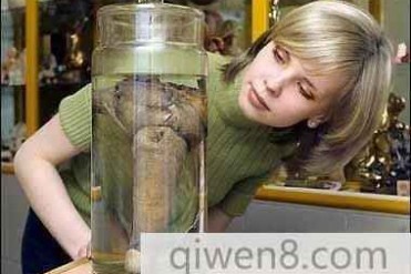 世界之最大全 千奇百怪的世界之最