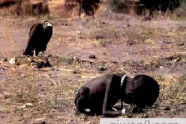 全球不禁让人落泪最悲惨的照片