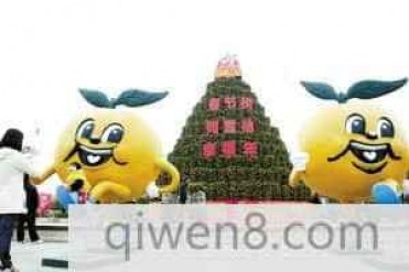 世界上最高的年桔树