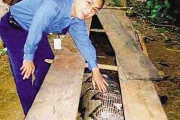 动物寿命世界之最 活了38岁的巨猫