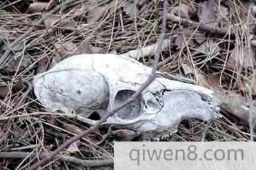 世界最著名7个恐怖风景区