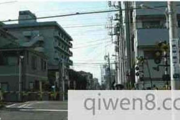 世界上最短的火车