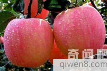 2014年全球最新十大最肮脏果蔬