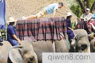 俯卧撑世界纪录