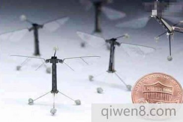 美国研究人员研发出世界上最小的机器人