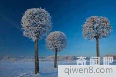 地球上10大最冷的地方 零下93.2℃