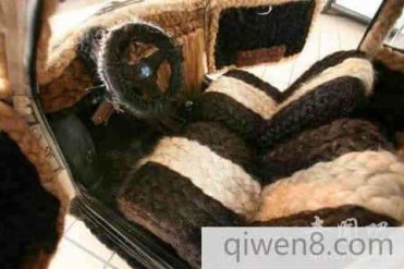 女发型师用人类头发装饰汽车创纪录