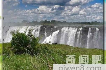 世界最危险的游泳池 你敢去玩么