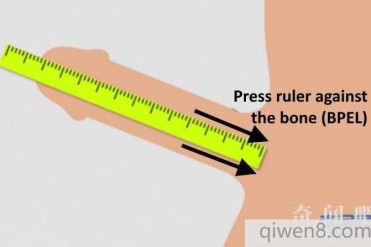 阴茎长度最长最短国家排名,官方尺寸量测法大公开