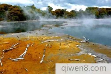 世界上最难闻的城市