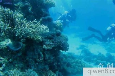 世界最热海水!水温最高近60℃ 被誉为七大奇迹之一