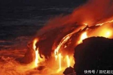 世界上最不怕热的动物?把火山当作“游泳池”,怎...
