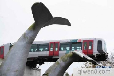 世界最“幸运”的轻轨,网友看了直呼神奇:有“鲸”无险