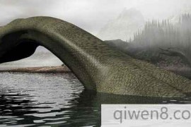 蛇颈龙复活了,还是说它一直活在地球上？