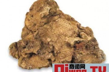 世界上最大的天然黄金 第一重量约60公斤堪称奇迹