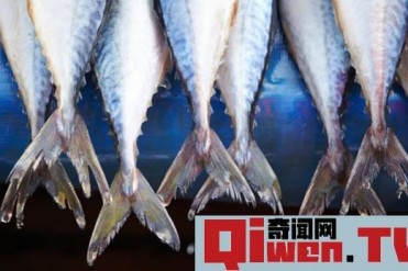 世界上十大吃鱼最多的国家 日本仅排第四 第一出...