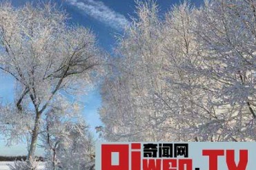 莫斯科一夜降雪量创下新纪录 这场百年难得一遇的...